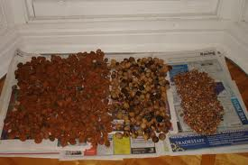 How To Dry Nuts